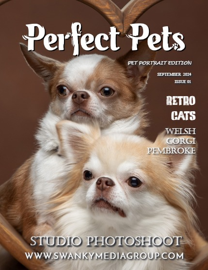 Perfect Pets Magazine - September 2024: The Pet Portrait Edition, page 1