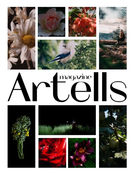 ARTELLS MAGAZINE - NATURE & TRAVELS AUGUST (Vol 3473), page 2