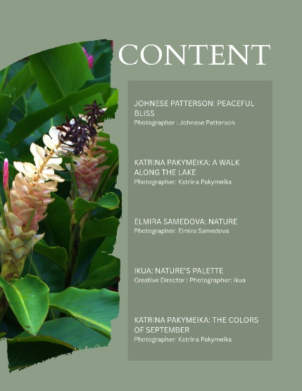 Bold & Beyond Nature (Issue 603 November 2025), page 2