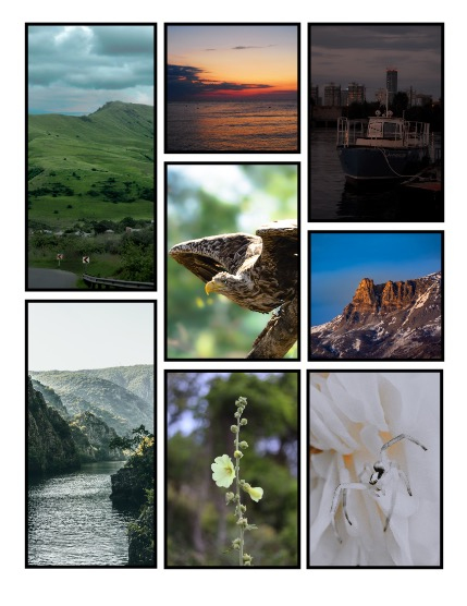 ARTEGO MAGAZINE - NATURE & TRAVELS AUGUST ISSUE 1451, page 3