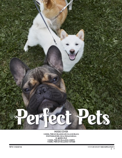 Perfect Pets Magazine - June/July 2025: The Pet Pals Issue, page 2