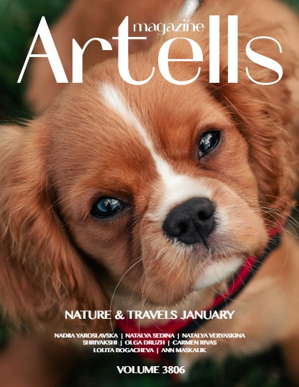 ARTELLS MAGAZINE - NATURE & TRAVELS JANUARY (Vol 3806), page 1