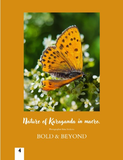 Bold & Beyond Nature (Issue 444 August 2025), page 4