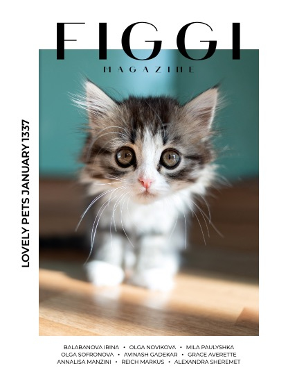 FIGGI MAGAZINE - LOVELY PETS JANUARY (Vol 1337), page 1