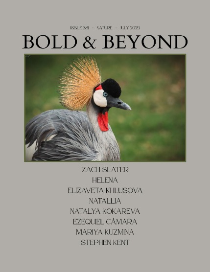 Bold & Beyond Nature (Issue 381 July 2025), page 1