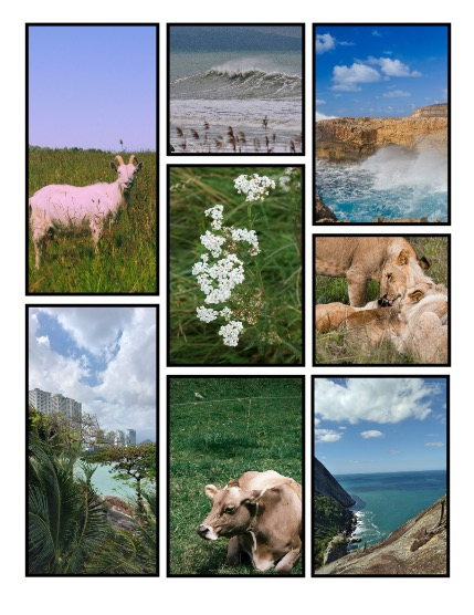 ARTEGO MAGAZINE - NATURE & TRAVELS MARCH ISSUE 1253, page 3