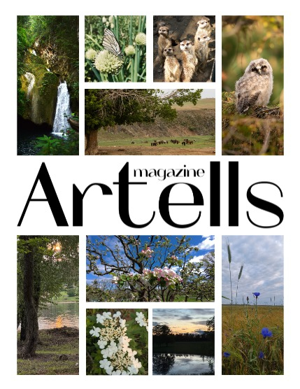 ARTELLS MAGAZINE - NATURE & TRAVELS JULY (Vol 3376), page 2