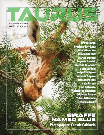 Nature#124, page 1