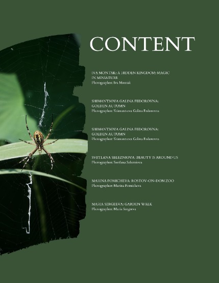 Bold & Beyond Nature (Issue 577 October 2025), page 2