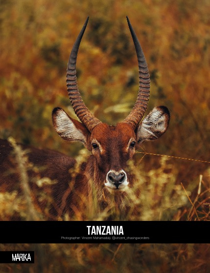 MARIKA MAGAZINE NATURE & TRAVELS (ISSUE 5830 - AUGUST), page 4