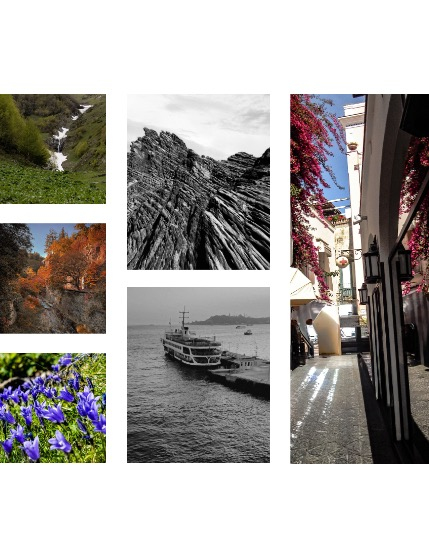 FIGGI MAGAZINE - NATURE & TRAVEL DECEMBER (Vol 1916), page 2