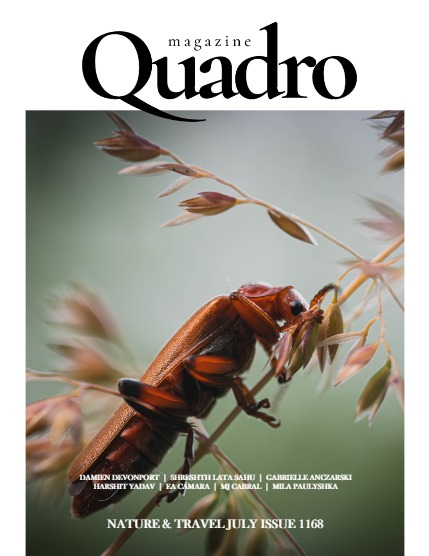 QUADRO MAGAZINE - NATURE & TRAVELS JULY (Vol 1168), page 1