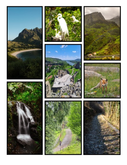 ARTEGO MAGAZINE - NATURE & TRAVELS MAY ISSUE 845, page 3