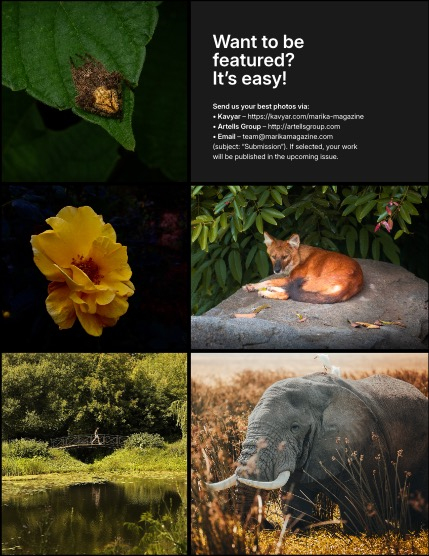 MARIKA MAGAZINE NATURE & TRAVELS (ISSUE 5830 - AUGUST), page 3