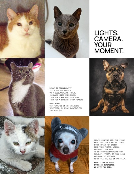 FIGGI MAGAZINE - LOVELY PETS AUGUST (Vol 2237), page 3