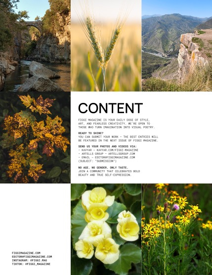 FIGGI MAGAZINE - NATURE & TRAVEL OCTOBER (Vol 2316), page 2