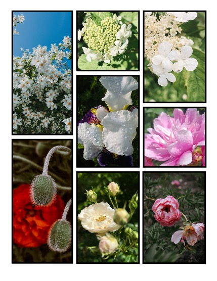 ARTEGO MAGAZINE - NATURE & TRAVELS JULY ISSUE 925, page 3