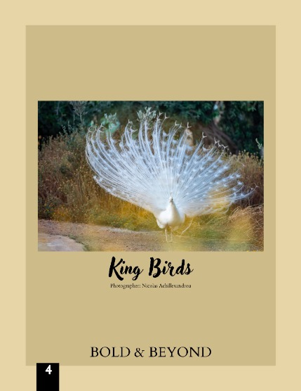 Bold & Beyond Nature (Issue 371 July 2025), page 4