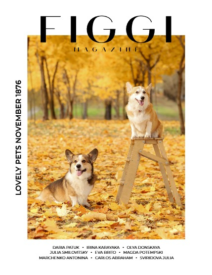 FIGGI MAGAZINE - LOVELY PETS NOVEMBER (Vol 1876), page 1