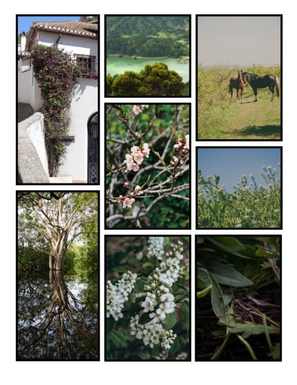 ARTEGO MAGAZINE - NATURE & TRAVELS MAY ISSUE 843, page 3