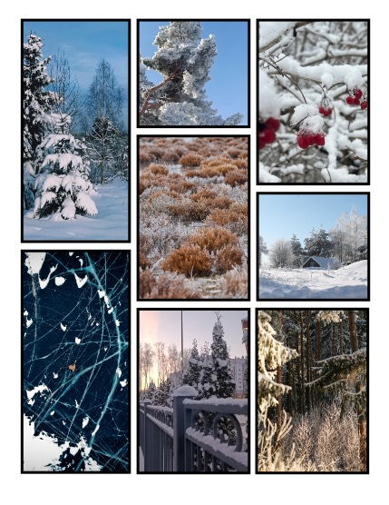 ARTEGO MAGAZINE - NATURE & TRAVELS MARCH ISSUE 1251, page 3