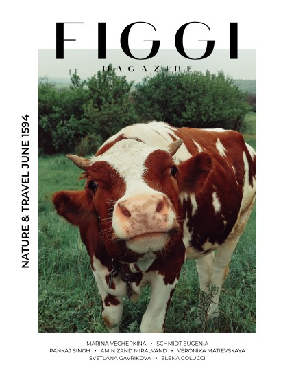 FIGGI MAGAZINE - NATURE & TRAVEL JUNE (Vol 1594), page 1