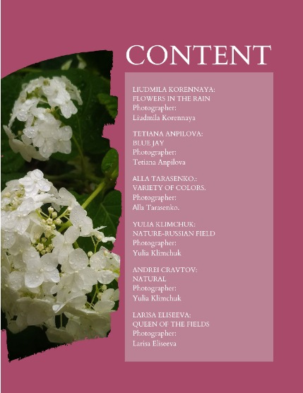 Bold & Beyond Nature (Issue 442 August 2025), page 2