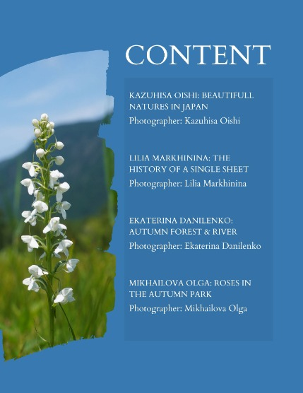 Bold & Beyond Nature (Issue 590 October 2025), page 2