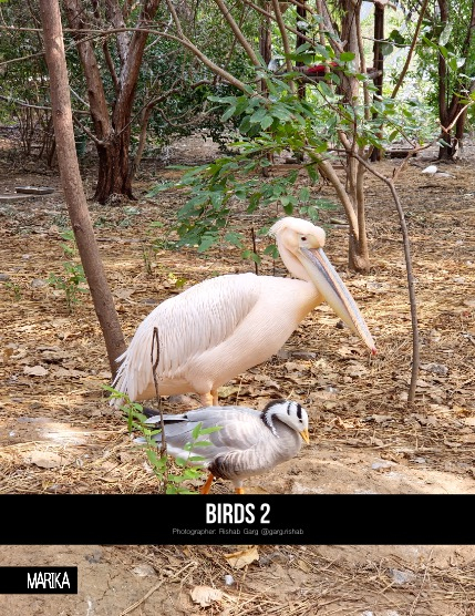 MARIKA MAGAZINE NATURE & TRAVELS (ISSUE 5531 - FEBRUARY), page 4