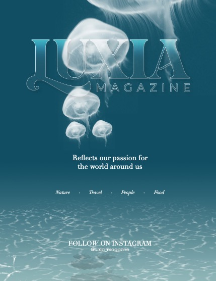 Luxia Mag 669, page 2