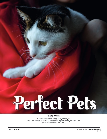 Perfect Pets Magazine - April 2025: The Pet Pals Issue, page 2