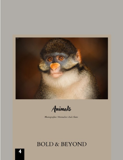 Bold & Beyond Nature (Issue 381 July 2025), page 4
