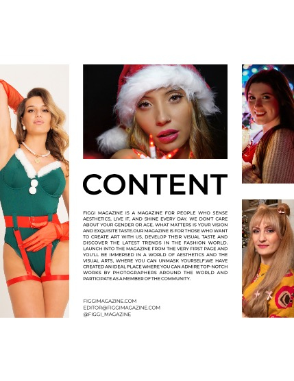 FIGGI MAGAZINE - CHRISTMAS JANUARY (Vol 1334), page 3