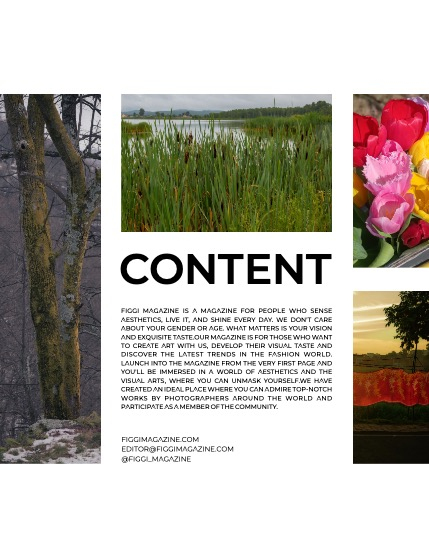FIGGI MAGAZINE - NATURE & TRAVEL APRIL (Vol 1483), page 3