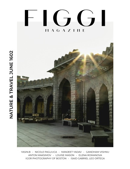 FIGGI MAGAZINE - NATURE & TRAVEL JUNE (Vol 1602), page 1