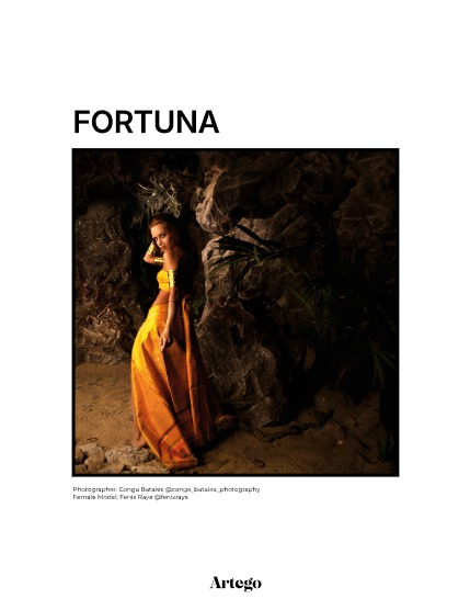 ARTEGO MAGAZINE - FANTASY NOVEMBER ISSUE 1110, page 5