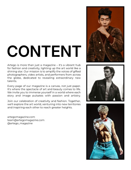 ARTEGO MAGAZINE - MEN JANUARY ISSUE 1193, page 2
