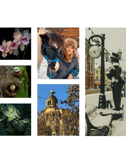 FIGGI MAGAZINE - NATURE & TRAVEL FEBRUARY (Vol 1992), page 2