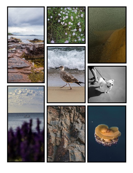 ARTEGO MAGAZINE - NATURE & TRAVELS OCTOBER ISSUE 1075, page 3