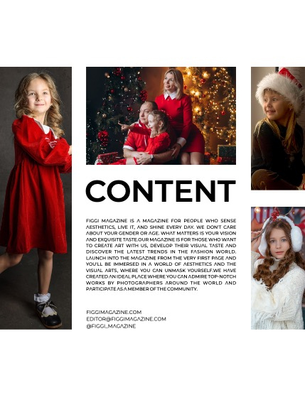 FIGGI MAGAZINE - CHRISTMAS JANUARY (Vol 1333), page 3