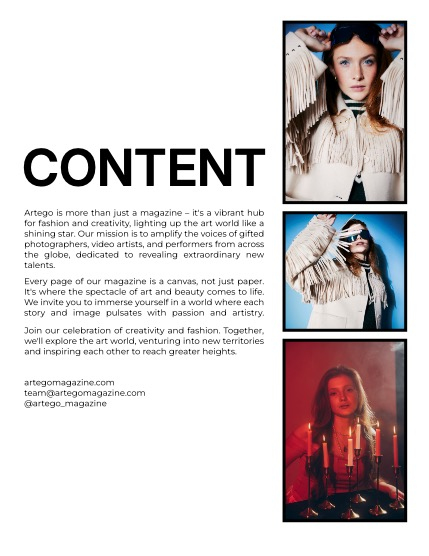 ARTEGO MAGAZINE - CHRISTMAS JANUARY ISSUE 1183, page 2