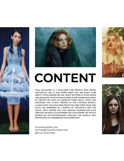 FIGGI MAGAZINE - FANTASY & AI JANUARY (Vol 1350), page 3