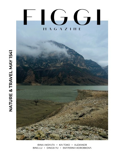 FIGGI MAGAZINE - NATURE & TRAVEL MAY (Vol 1541), page 1