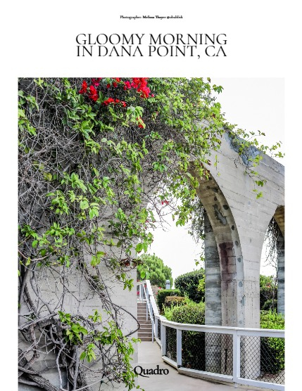 QUADRO MAGAZINE - NATURE & TRAVELS JULY (Vol 1167), page 4