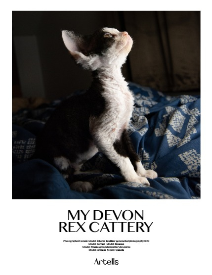 ARTELLS MAGAZINE - NATURE & ANIMALS NOVEMBER (Vol 3705), page 4