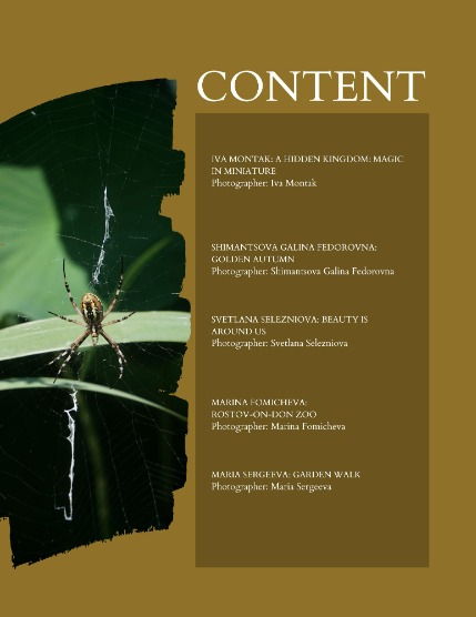 Bold & Beyond Nature (Issue 577 October 2025), page 2