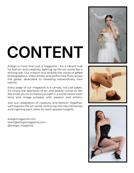 ARTEGO MAGAZINE - PORTRAIT JANUARY ISSUE 1203, page 2