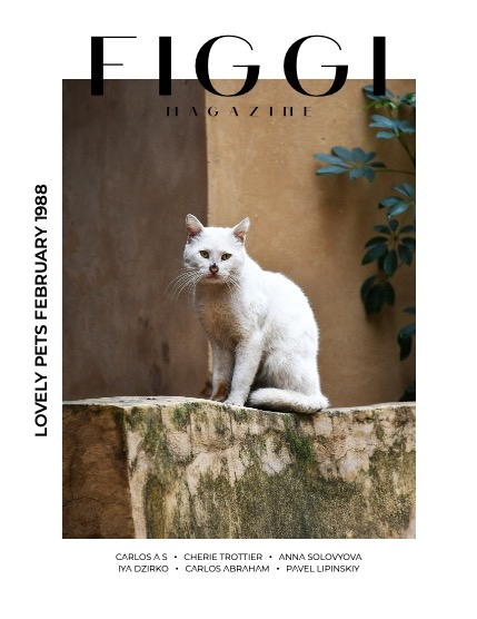 FIGGI MAGAZINE - LOVELY PETS FEBRUARY (Vol 1988), page 1