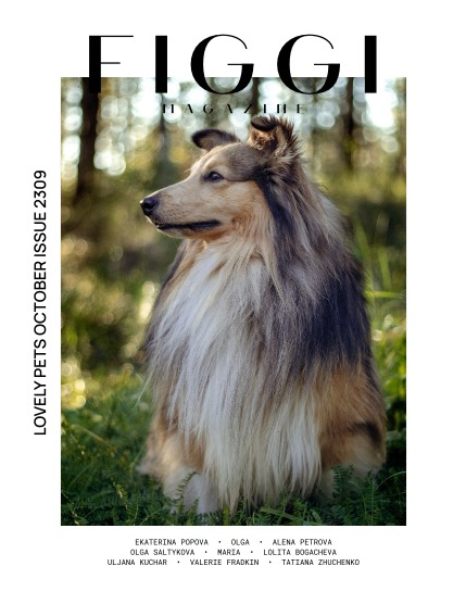 FIGGI MAGAZINE - LOVELY PETS OCTOBER (Vol 2309), page 1