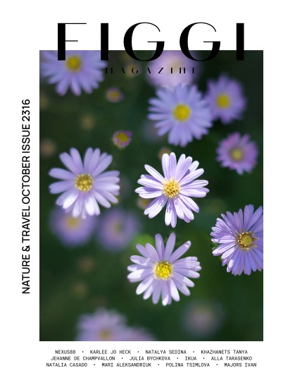 FIGGI MAGAZINE - NATURE & TRAVEL OCTOBER (Vol 2316), page 1